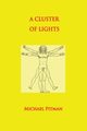 A Cluster of Lights, Pitman Michael