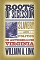 Roots of Secession, Link William A.