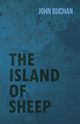The Island of Sheep, Buchan John