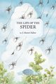 The Life of the Spider, Fabre J. Henri