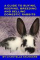 A Guide To Buying, Keeping, Breeding And Selling Domestic Rabbits, Saunders Chantelle