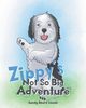 Zippy's Not So Big Adventure, Immel Sandy Beard