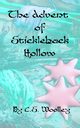The Advent of Stickleback Hollow, Woolley C.S.