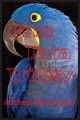 Blue Tara Trilogy, Ostrogorsky Michael