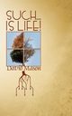 Such... Is Life!, Mason David