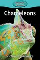 Chameleons, Blakemore Victoria