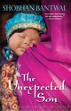 The Unexpected Son, Bantwal Shobhan