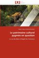 Le patrimoine culturel pygme en question, OYONO BITOUNOU-M