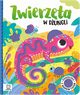 Zwierzta w dungli Ksieczka z mikkim filcem, Podgrska Anna, Wasilewicz Grayna