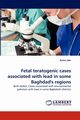 Fetal Teratogenic Cases Associated with Lead in Some Baghdad's Regions, Jabr Rasha