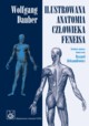 Ilustrowana anatomia czowieka Feneisa, Dauber Wolfgang
