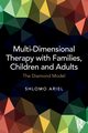 Multi-Dimensional Therapy with Families, Children and Adults, Ariel Shlomo