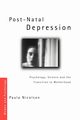 Post-Natal Depression, Nicolson Paula