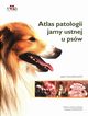 Atlas patologii jamy ustnej u psw, Soto  J.C.