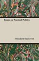 Essays on Practical Politics, Roosevelt Theodore IV