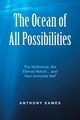 The Ocean of All Possibilities, Eames Anthony