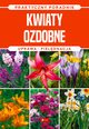 Kwiaty ozdobne Natura Praktyczny poradnik, Mazik Micha