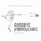 Goodbye Hypervigilance, Joy Lora K.