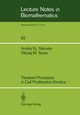 Transient Processes in Cell Proliferation Kinetics, Yakovlev Andrej Yu.