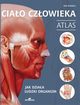 Ciao czowieka Atlas, Ashwell Ken
