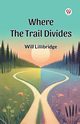Where the Trail Divides, Lillibridge Will