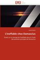 L''ineffable chez damascius, MAZILU-D