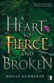 A Heart So Fierce and Broken, Kemmerer Brigid