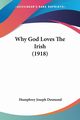 Why God Loves The Irish (1918), Desmond Humphrey Joseph