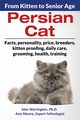 Persian Cat, Warrington Ph.D. Alex
