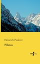 Pilatus, Federer Heinrich