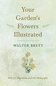 Your Garden's Flowers Illustrated - With 28 Illustrations and 695 Photographs, Brett Walter