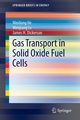 Gas Transport in Solid Oxide Fuel Cells, He Weidong