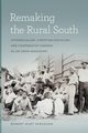 Remaking the Rural South, Ferguson Robert Hunt