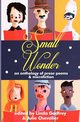 Small Wonder, 