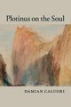 Plotinus on the Soul, Caluori Damian