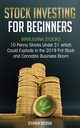 Stock Investing for Beginners, Satoshi Stephen