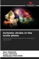 Ischemic stroke in the acute phase, DAOUSSI Nizar