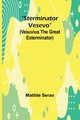 Sterminator Vesevo (Vesuvius the great exterminator), Serao Matilde