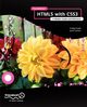 Foundation HTML5 with CSS3, Cook Craig