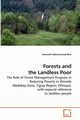 Forests and the Landless Poor, Biru Ashenafi Gebremichael