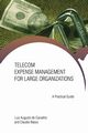 Telecom Expense Management for Large Organizations, Augusto Carvalho Luiz