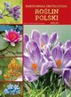 Ilustrowana encyklopedia rolin Polski Atlas, Przybyowicz Anna, Przybyowicz ukasz