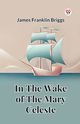 In The Wake Of The Mary Celeste, Briggs James Franklin