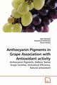 Anthocyanin Pigments in Grape Association with  Antioxidant activity, Mohdaly Adel