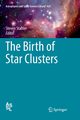 The Birth of Star Clusters, 