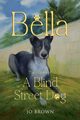Bella, the journey of A Blind Street Dog, Brown Jo