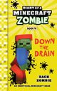 Diary of a Minecraft Zombie Book 16, Zombie Zack