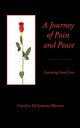 A Journey of Peace and Pain, Blevins Carolyn DeArmond