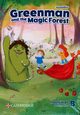Greenman and the Magic Forest Level B Flashcards, Miller Marilyn