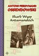 Skarb Wysp Andamaskich, Ossendowski Antoni Ferdynand